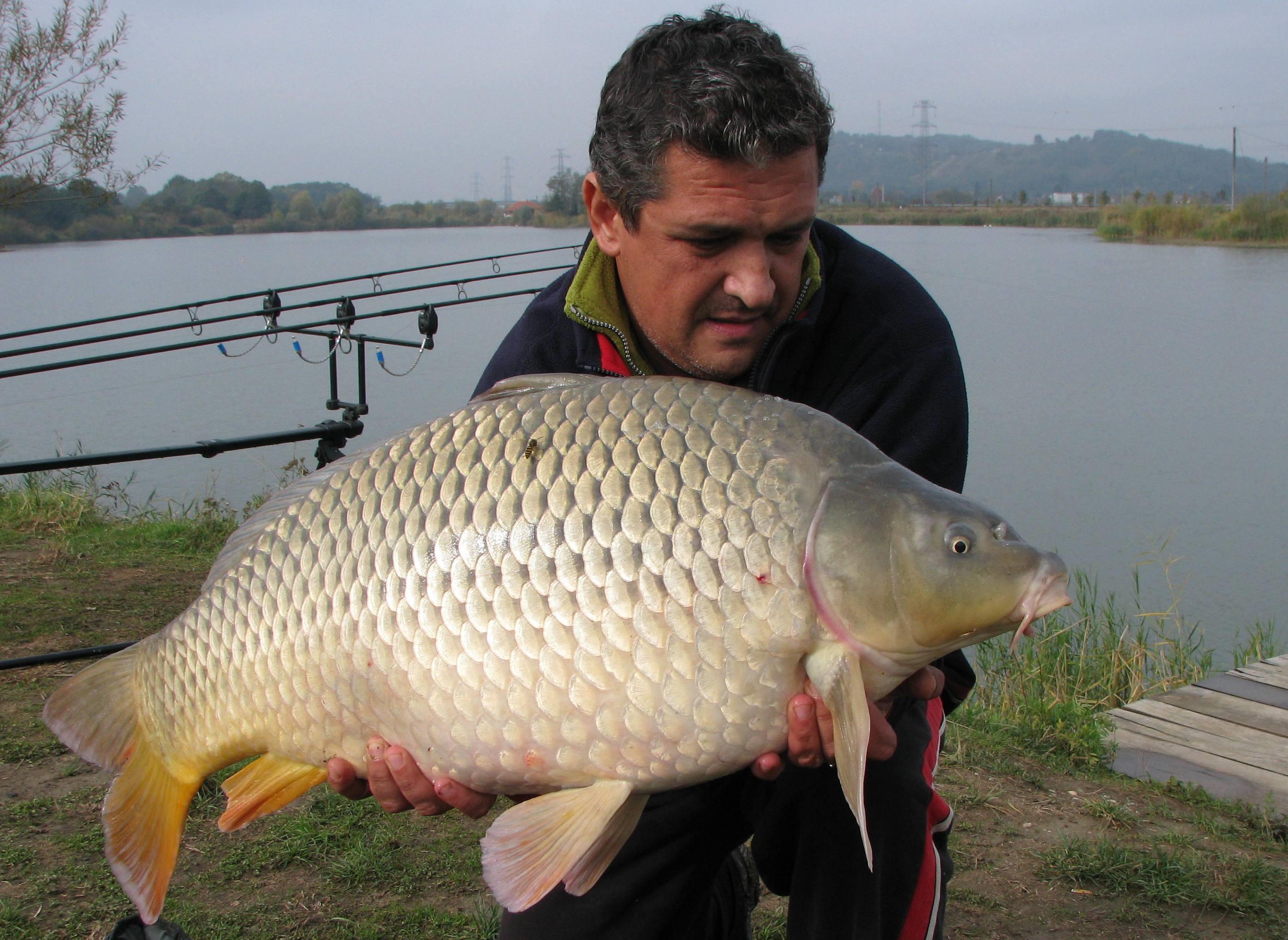 capturi - IMG_3635.JPG